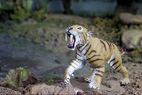 Safari Ltd  Wild Safari Smilodon