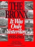 Front cover for the book The Bronx: It was only yesterday, 1935 - 1965 by Lloyd Ultan