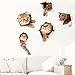 5Pcs 3D Removable Cats Large Wall Stickers, Cute Animal Wall Sticker Mural for Kids, Cute kitty Decor Posters for Nursery Room, Toilet, Kitchen, Offices, Refrigerator, Car