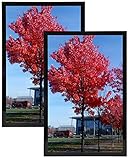 Medog 11x14 Picture Frame Black Set of 2 Display