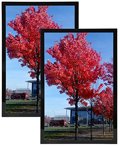 Medog 11x14 Picture Frame Black Set of 2 Display