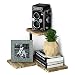 SRIWATANA Rustic Corner Shelf, 2-Tier Wood Wall Shelf, Wall Mounted Storage Shelves for Bedroom, Living Room, Bathroom primary