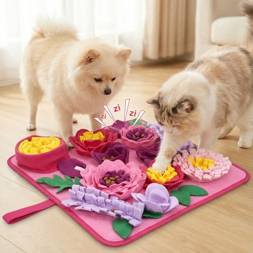 Ankilo Interactive Snuffle Mat