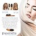 Spornette Carry On Wooden Handle Oval Cushion Mini Hair Brush #30-C Travel Size Brush Fits in Purse or Carry-On Bag for Quick Brush Outs, Detangling, Styling, Smoothing Thick, Normal & Thin Hair