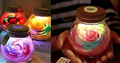 Purple Flower Wish Bottle Rose Flower Glass Bottle LED Light Remote Control Night Lamp decor Crafts