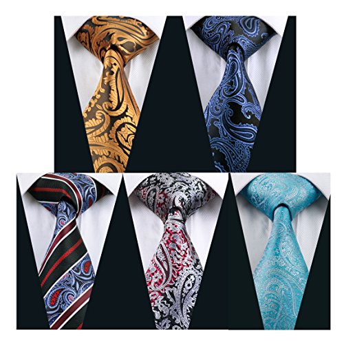 Hi-Tie 5PCS Retro Paisley Necktie for Wedding Party Silk