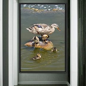 signwin Framed Canvas Wall Art Single Bird Birds...