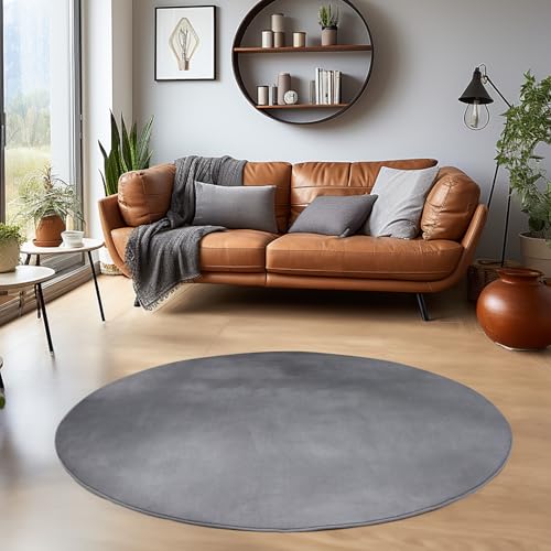 HomebyHome Waschbarer Teppich Rund 200 cm Grau Einfarbig Kurzflor Modern Weich rutschfest Pflegeleicht Maschinenwaschbar für Wohnzimmer Schlafzimmer E