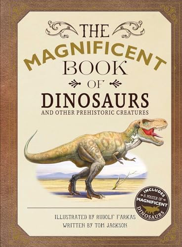 Dinosaur Cove: Set of 4 Chapter Books: Rex Stone: Amazon.com: Books