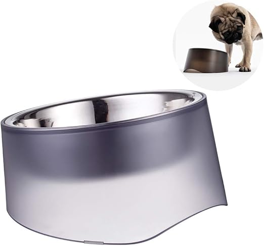 raised dog bowls for small dogs