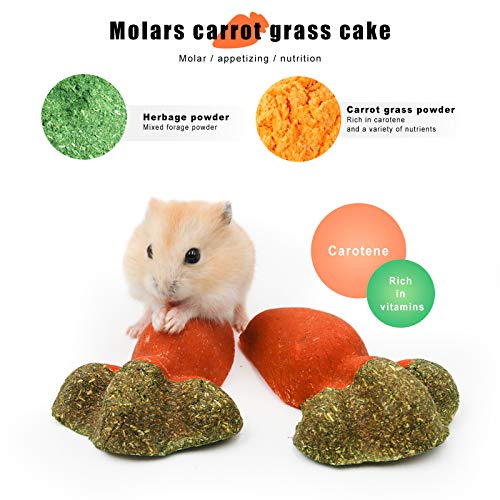 NA Ruisheng15 Pcs Rabbit Chew Toys, Natural Timothy Grass Teeth Grinding Cakes, Mixed Bunny Treats Different Flavor Chew Toys for Hamster Guinea Pig Chinchilla and Other Small Animals (H 01)