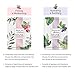 TeaTime Tencel Korean Face Mask Sheet | Tea Essence Moisturizing, Soothing, Energizing, and Balancing Facial Skin (Total 4 sheets, 1 of 4 kinds)