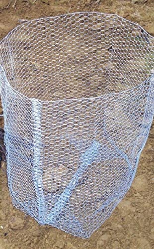 Wuehlmauskorb für Bäume, verzinkt – Bild 3