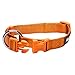 Blueberry Pet 4 Colors Better Basic Dog Collar, Orange Fusion, X-Small, Neck 7.5