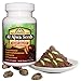 ZumZumstore Al Ajwa Seeds Sports Nutrition Powder with Cardamom