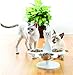 ETNA Multi Cat Raised Feeder
