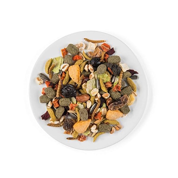 Witte Molen Puur Hamster Food 400 g - mealworms / sunflower seeds / pepper / puffed rice / grapes pure & varied gourmet muesli