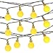 LUCKLED Fairy Globe String Lights, 100 LED Christmas Lights with UL Certified Adapter for Indoor and Outdoor, Home, Lawn Garden, Patio, Wedding, Party, Holiday Decorations (Warm White)
