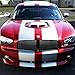 Compatible with 06-10 Dodge Charger ABS Plastic Sport Mesh Front Bumper Grille (Black) - 1st Gen LX