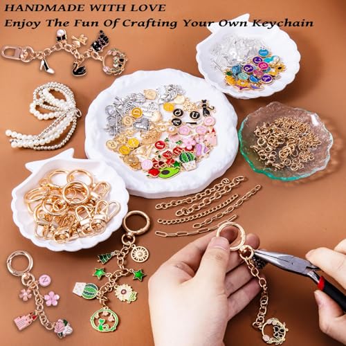 325Pcs Keychain Making Kit, Including 20 Keychain Clips 25 Extender Chain 118 Charms Jewelry Plier, Bag Charm Kit, Keychains Making Supplies for DIY Crafting