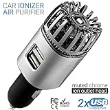 Car Air Purifier Ionizer - 12V Plug-in Ionic Anti-Microbial Car Deodorizer with Dual USB Charger - Smoke Smell, Pet and Food Odors, Allergens, Viruses Eliminator for Car (Matte Silver)