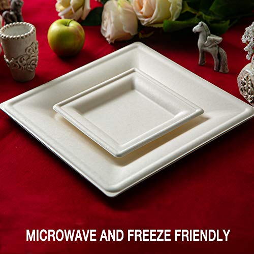 Kikigreen Bagasse Square Compostable Plates [100-pack] Dessert Disposable White Paper Plates Made Of Sugarcane (10 and 7 inch) - Thumbnail 5