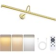 Bridika Picture Lights for Wall Battery Operated, 23.6in Picture Light with Remote, 3 Color Modes and Dimmable Classic Art Light for Paintings, Gallery, Dartboard, Bathroom with Timer (Gold, 1 Pack)