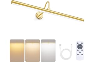 Bridika Picture Lights for Wall Battery Operated, 23.6in Picture Light with Remote, 3 Color Modes and Dimmable Classic Art Light for Paintings, Gallery, Dartboard, Bathroom with Timer (Gold, 1 Pack)