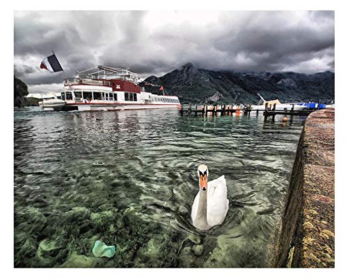 YKCKSD 1000 Pièces Puzzle Adulte Puzzle Artisanat Cadeau Classique Jouet en Bois Cadeau Unique Décoration Intérieure，Cygne sur Le lac d’Annecy, France