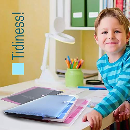 Expanding File Folder 8 Pockets, A4 Paper Harmonium File, Kawaii