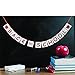 Back to School Banner with Apple Sign - First Day of School - Teacher Banner - Classroom Decor - Back to School Party Decoration Photo Props