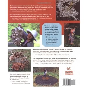 Mycelium Running: How Mushrooms Can Help Save the World