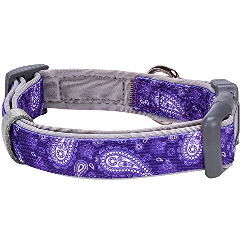 Blueberry Pet 5 Patterns Soft & Comfy Paisley Flower Print Neoprene