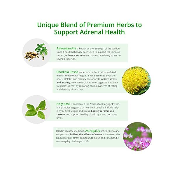 Adrenal Fatigue Support Supplement with Premium Rhodiola Rosea Herb