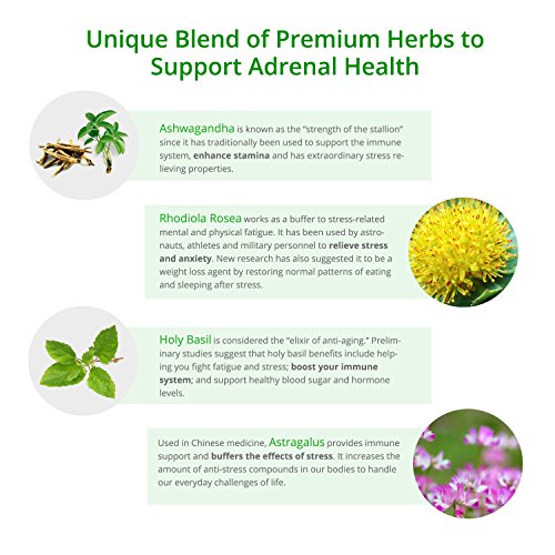 Adrenal Fatigue Support Supplement with Premium Rhodiola Rosea Herb