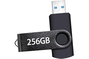 USB Flash Drive 256GB, Portable Thumb Drive: Memory Stick 256GB, Large Capacity USB Drive with Keychain, High-Speed USB 2.0 D