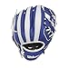 Wilson A0200 Los Angeles Dodgers Baseball Gloves, 10