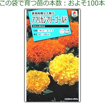 Amazon アフリカンマリーゴールド 種子 高性大輪混合 5ml 育苗可能本数 およそ100本 種 苗