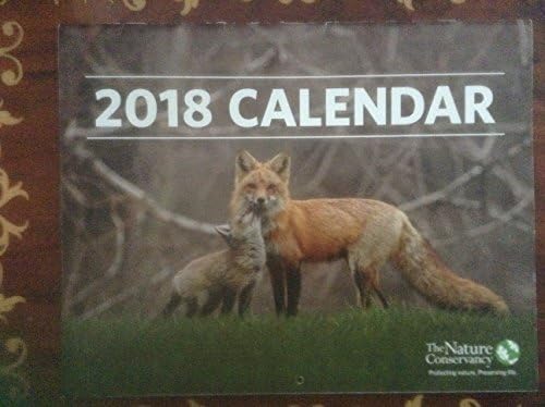 10-Pack Reusable Gas Stove Burner Covers Non-stick Stovetop Burner Liners 10 Packs 10.6" x 10.6" Reusable Double Thickness Easy Clean (10.610.6, Thicken Black)