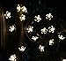 DecorNova 907036 String Lights, Warm White