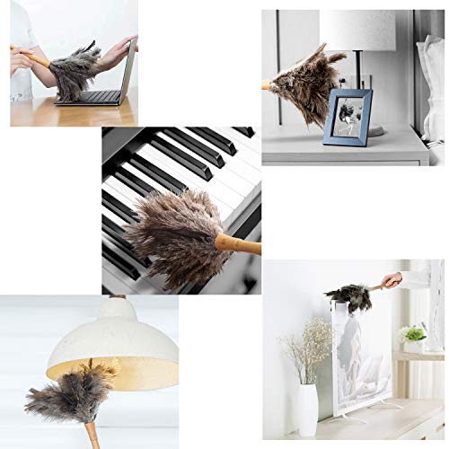 Ostrich Feather Duster,Long Ostrich Feather Duster Fluffy Natural