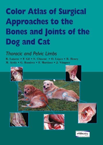 A Very Long Tail: A Folding Book: Carle, Eric: 9780690860061