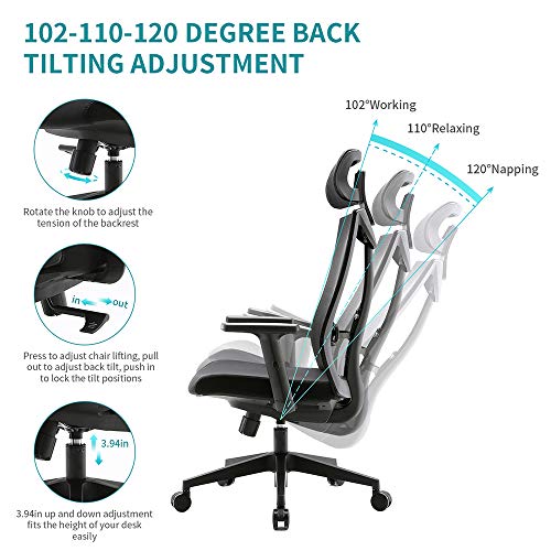 SIHOO Ergonomic Office Chair With Adjustable Lumbar Support And