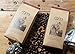 anni COFFEE DARK Roast Strong Vietnamese GROUND Coffee Premium Gourmet Blend ORIGAMI Packaging