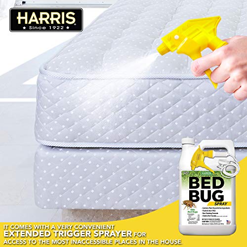 How Does Residual Bed Bug Spray Work at Scott Brown blog