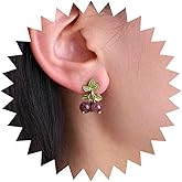 Vacaonio Vintage 3D Grapes Drop Earrings Small Grape Drop Earrings Purple Grapes Dangle Earrings Grape Fruit Earrings Raspberry Earrings Jewelry for Women