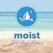 Aussie Moist 2-In-1 Shampoo 13.5 Fl Oz (Pack of 6)
