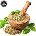 Naturevibe Botanicals Basil Leaves (100gm) [Packaging may vary]