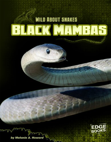 Black Mambas (Wild about Snakes)
