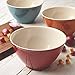 Rachael Ray Accessories Kitchen Pantryware Multi Purpose/Salad Serveware/Melamine Garbage Bowl, Cranberry Red